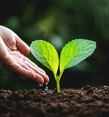 cropped-hand-watering-plant 2